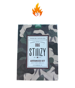 BiiiG Stiiizy advanced kit battery